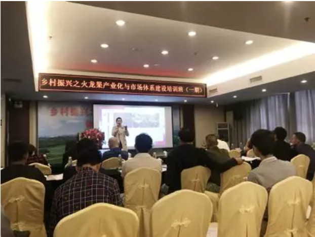 1579081329394949.png 火龙果2.png
