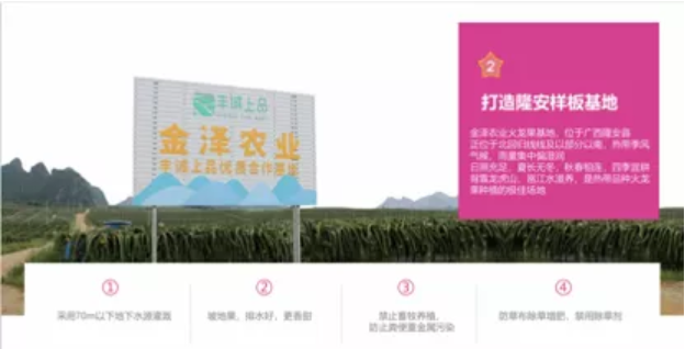 1579081348623748.png 火龙果3.png