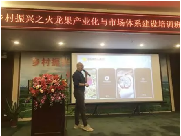 1579081359850889.png 火龙果4.png