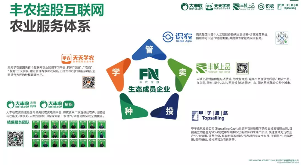 1579081402164689.png 火龙果8.png